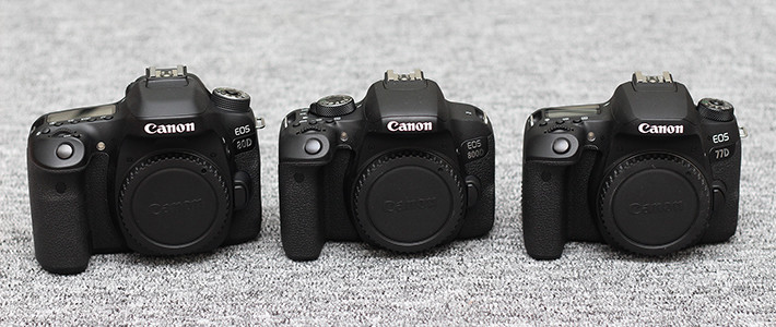Canon 佳能 单反选择攻略 EOS 800D EOS 77