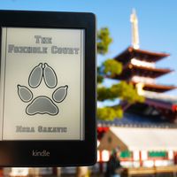 单 篇八:#嗨购亚马逊#Amazon 亚马逊 Kindle P