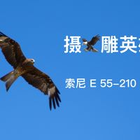 穷人三宝之 Canon 佳能 长焦55-250 stm 镜头化